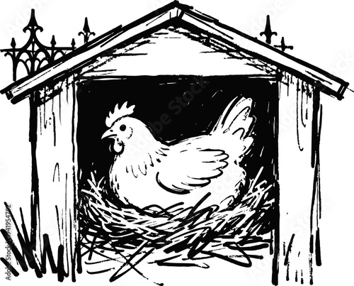 Hen sitting in nest inside rustic wooden chicken coop with fence in rural farmyard