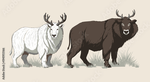 An illustration of a white and a dark brown bison standing side by side on grassy terrain