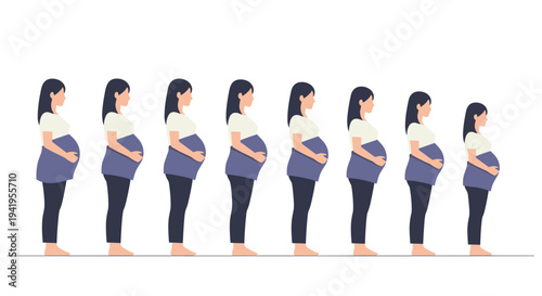 Pregnancy progression stages: side view of female silhouette in flat