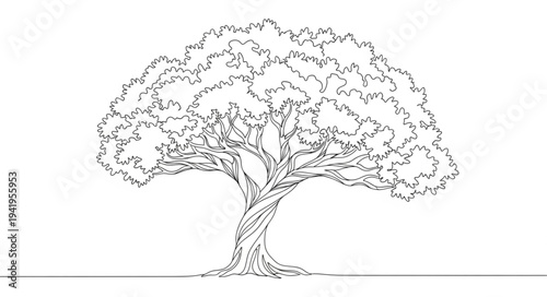 Detailed Sketch of a Large Mature Tree with Full Canopy.
