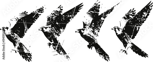 Abstract black and white flying bird silhouettes with distressed textured wings in motion
