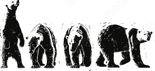 Illustration of four bears in different postures, standing and walking, black ink drawing