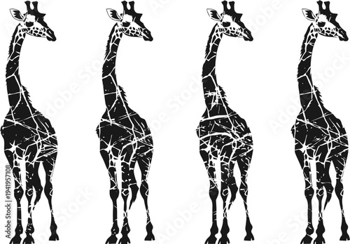 Silhouettes of four standing giraffes with a cracked texture pattern on white background