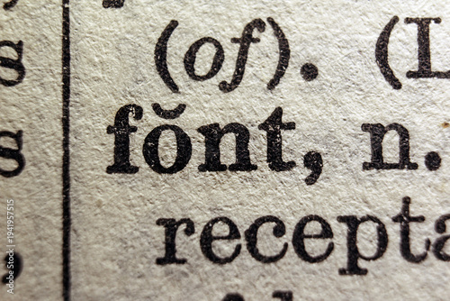 Bild auf Leinwand Word font printed on a dictionary page, macro closeup