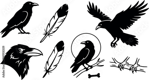 Black flat design raven icons set including perched raven head feather flying raven talons claw silhouette vector