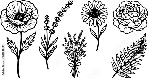 Black line art botanical vector set of poppy lavender chamomile peony and fern leaves isolated on white background