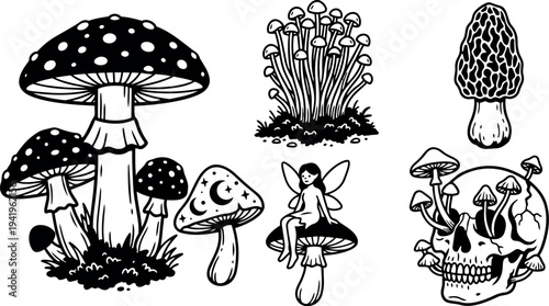 Black and white line art mushrooms with fairy sitting on mushroom and skull with mushrooms growing surreal fantasy forest illustration