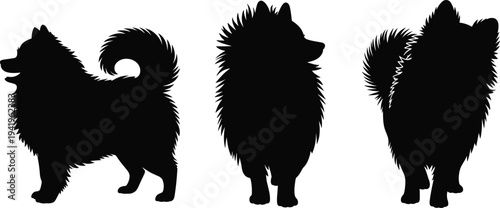 Black Silhouette of a Father Mother and Child Holding Hands Together for Concepts of Family Unity Love and 