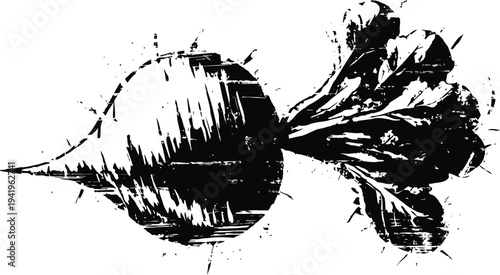 Black and white artistic beetroot illustration with leafy greens and textured details
