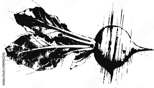 Beetroot with leaves sketch hand drawn root vegetable illustration in black ink garden fresh organic food design
