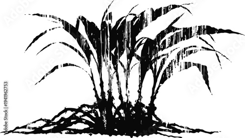 Decorative tropical palm plant with wide leaves and dense grass base silhouette illustration