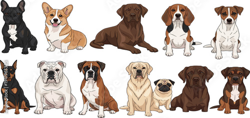 Dog Illustration Set Featuring French Bulldog, Corgi, Pug, Beagle, and More Breeds