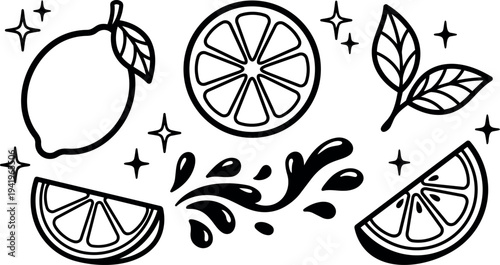 Black and white line art lemon fruit whole and slices with leaves and decorative splash elements vector design