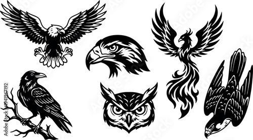 Black and white vector art featuring detailed fierce eagle owl raven falcon and phoenix bird designs in dynamic poses and sharp line style