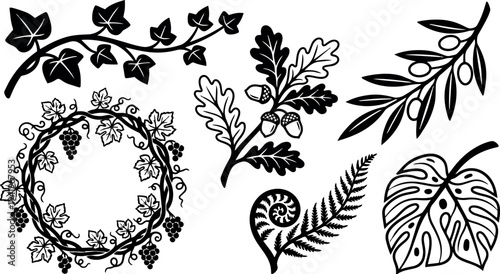 Black and white vector art of grapevine wreath ivy oak acorn olive fern and monstera leaves with detailed leaf veins and botanical elements