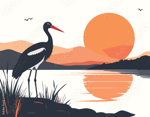 White heron and crane birds with long beaks and feathers stand in the wild nature of a tropical lake and river among diverse wildlife like storks and ibises