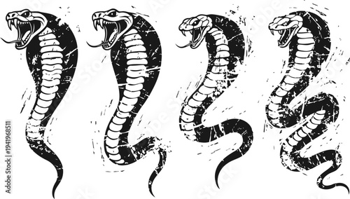 set of four black and white cobra snake illustrations with open mouths and visible fangs in various poses