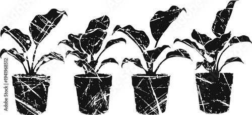 silhouettes of four potted plants with large leaves, artistic black textured design