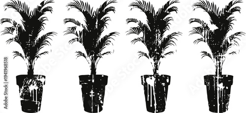 potted palm plants set in rustic textured containers isolated on white background