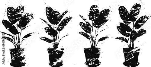 grunge potted rubber plants set, black silhouettes with rough textured effect, indoor houseplants illustration