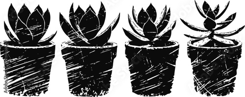 Set of four black and white hand drawn succulent plants in pots with textured lines and shading