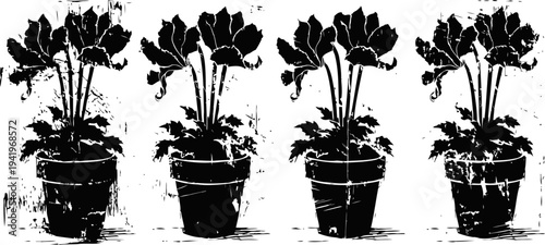Four potted plants with lush leaves in a row, black and white artistic silhouette