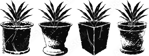 Four potted plants in different shaped pots with leafy green foliage on white background