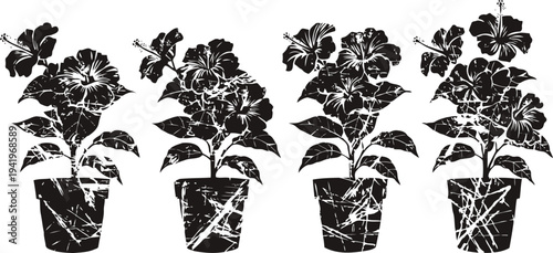 Four grunge hibiscus flower pots with leaves and blooms in black silhouette