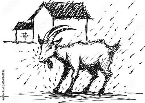 Goat standing in the rain near rural houses sketch drawing, countryside farm animal outdoors