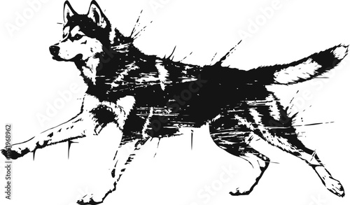 black and white running husky dog silhouette illustration with dynamic paint splatter design