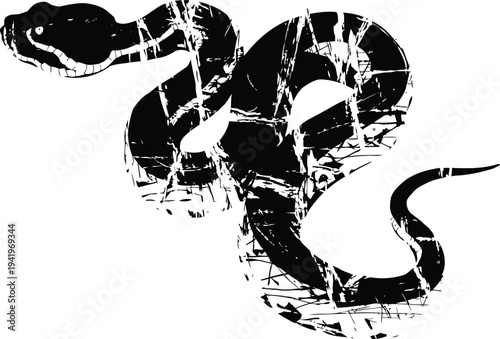 Black grunge snake silhouette with scratches, coiled and ready to strike, isolated on white background