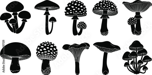 Mushroom silhouettes collection with various forest fungi shapes including toadstools and wild mushrooms isolated botanical illustration set