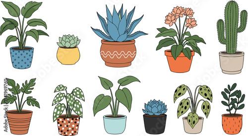 Vector Set of Potted Indoor Plants and Cacti Featuring Various Greenery and Decorative Pots for Home Office Decor Concept