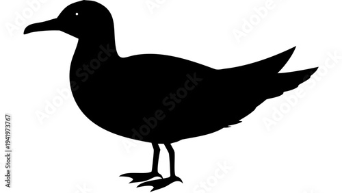 seagull black silhouette icon, coastal bird silhouette, transparent background
