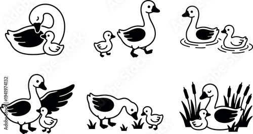 Black and white flat design illustrations of mother duck with duckling walking swimming and resting by grass and water in various poses