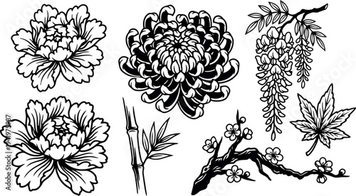 Black and white line art japanese floral botanical elements with chrysanthemum peony wisteria maple branch and bamboo leaves detailed vector illustration set