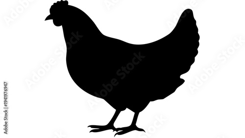 hen black silhouette icon, domestic bird silhouette, transparent background