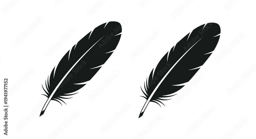 Fototapeta premium Two black feathers displayed against a plain white background silhouette