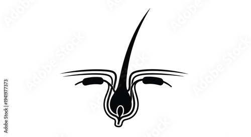 Abstract black shape resembling a stylized feather dramatic silhouette