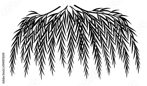 Green willow tree branches with flowing leaves natural botanical foliage flat vector illustration set