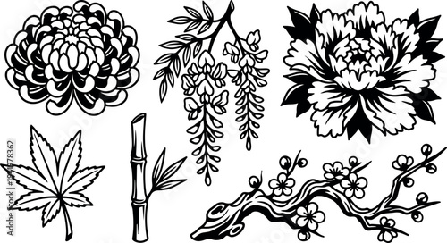 Black and white line art detailed chrysanthemum peony maple leaf bamboo wisteria and cherry blossom branch floral vector design