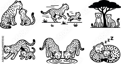 Vector art of mother cheetah with cubs running hunting drinking water and sleeping under tree in black and white silhouette style