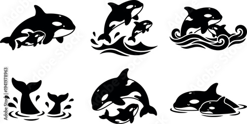 Black and white vector art of playful orca whales jumping splashing and swimming in ocean waves with mother and calf pairing