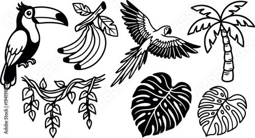 Black and white vector art of tropical toucan parrot flying palm tree banana branch and monstera leaves collection