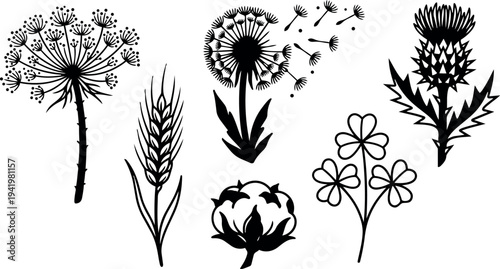 Black silhouette set of dandelion flowers seeds wheat cotton clover and thistle botanical vector art icons collection