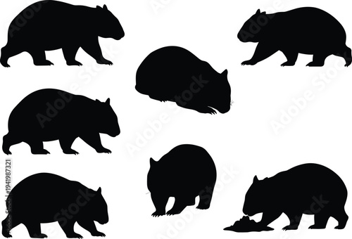 Wombat silhouette set, Australian marsupial vector, animal illustration poses, unique wildlife clipart, nature design graphic