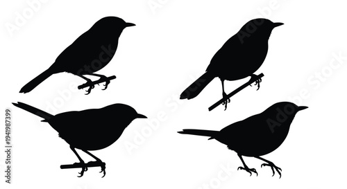 Four black bird silhouettes perched on branches against a white background
