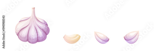 Vector illustration of fresh garlic cloves for food design and branding, packaging, restaurant menus, cafes, culinary concepts and farm products