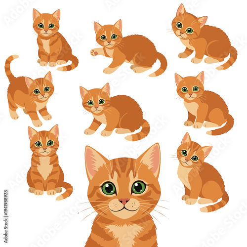 Group of cartoon orange cats sitting and standing together in various poses on a white background from different viewpoints