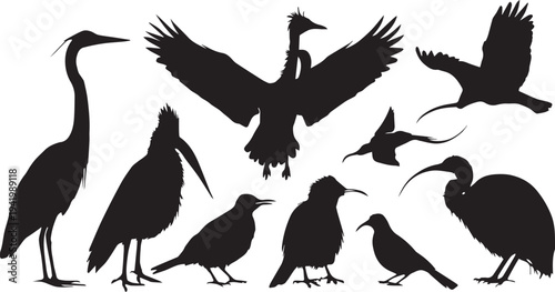 Adobe Illustrator Artwork